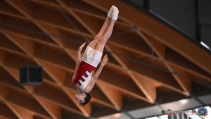 aere trampoline cup tra tum dmt ph by tomasi simone ferraro   fgi 